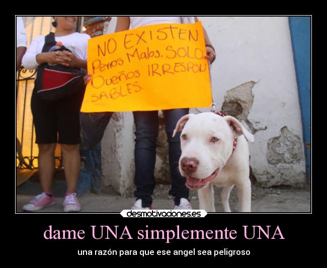 dame UNA simplemente UNA - una razón para que ese angel sea peligroso