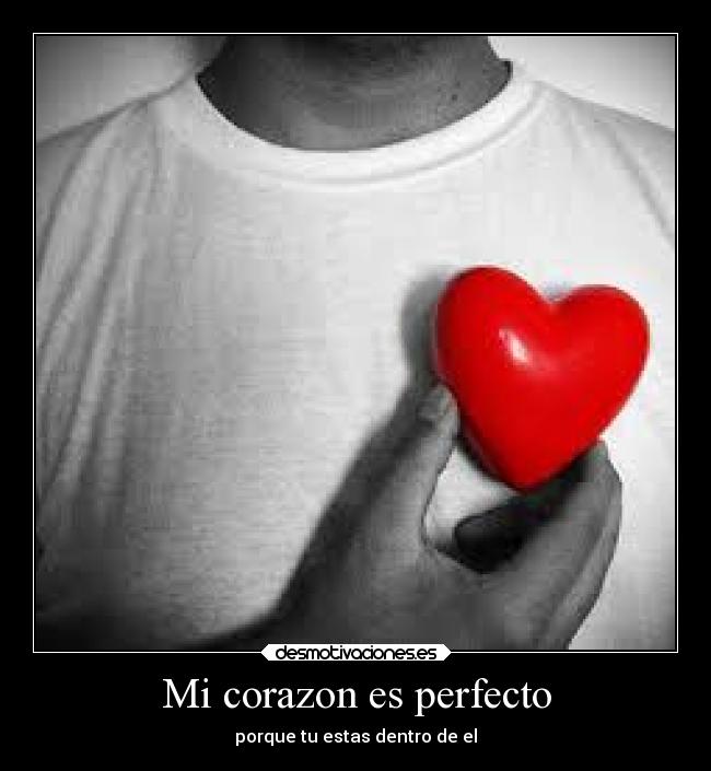 Mi corazon es perfecto - 