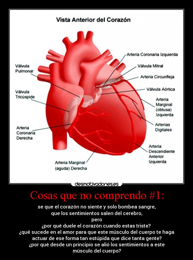 carteles corazon desmotivaciones