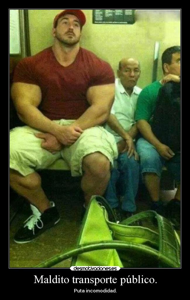 Maldito transporte público. - Puta incomodidad.