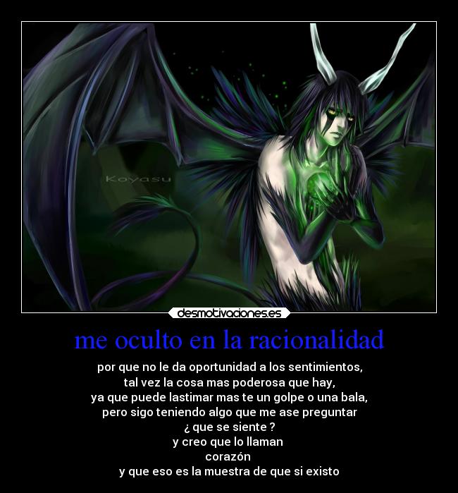 me oculto en la racionalidad - 