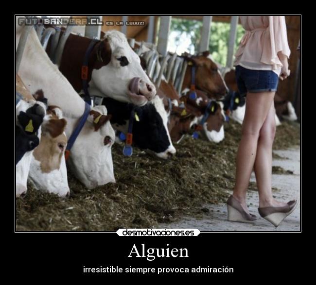 Alguien - 