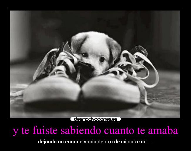 y te fuiste sabiendo cuanto te amaba - dejando un enorme vació dentro de mi corazón......