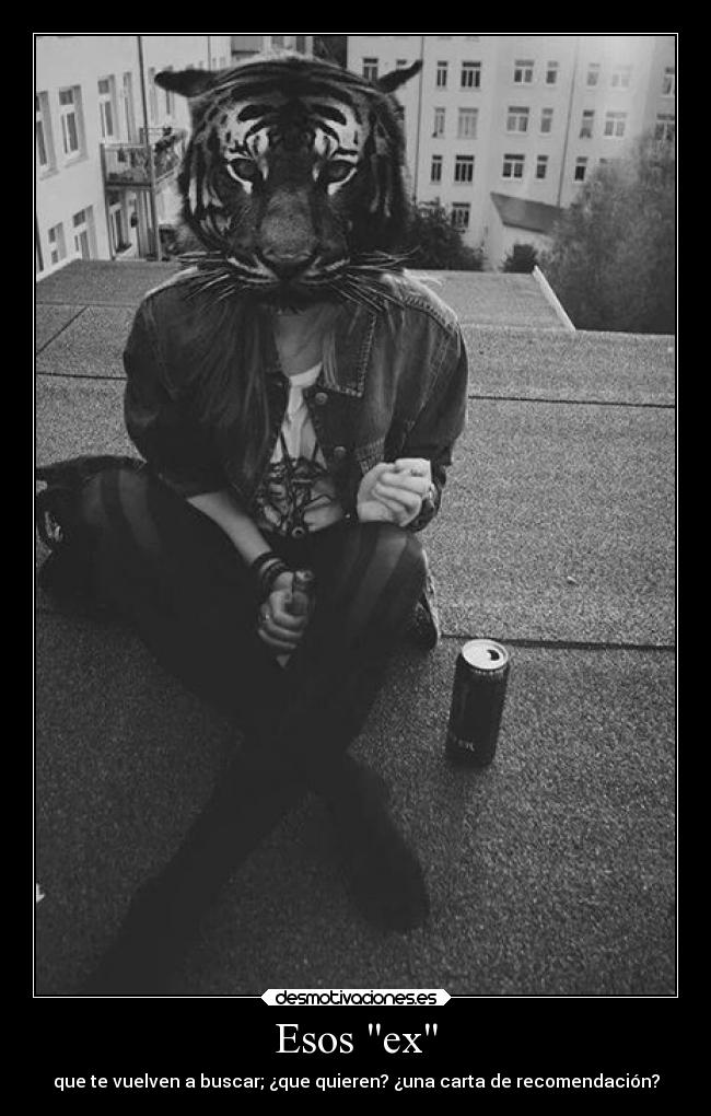 carteles desamor desmotivaciones