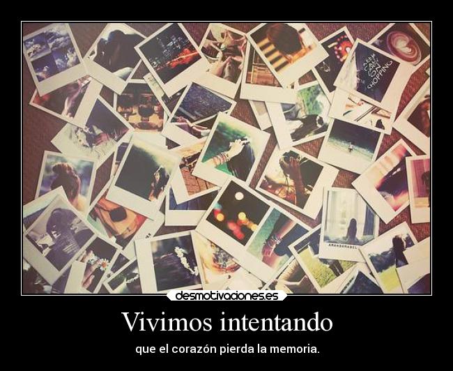 Vivimos intentando - que el corazón pierda la memoria.