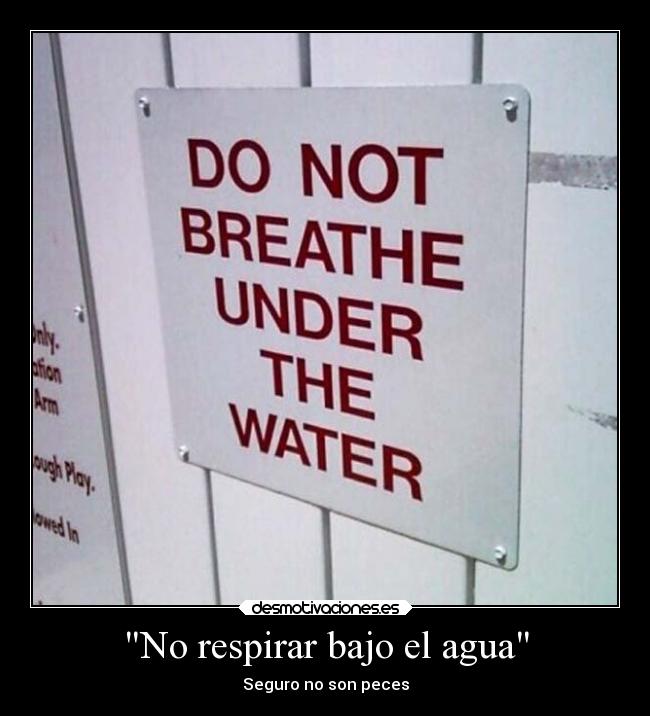 No respirar bajo el agua - Seguro no son peces