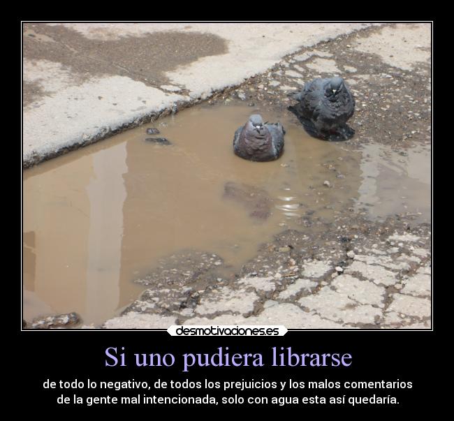 Si uno pudiera librarse - de todo lo negativo, de todos los prejuicios y los malos comentarios
de la gente mal intencionada, solo con agua esta así quedaría.
