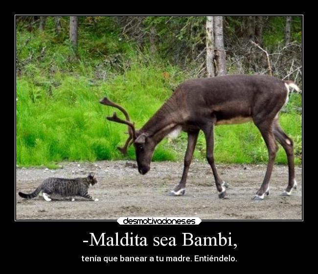 -Maldita sea Bambi, - tenía que banear a tu madre. Entiéndelo.