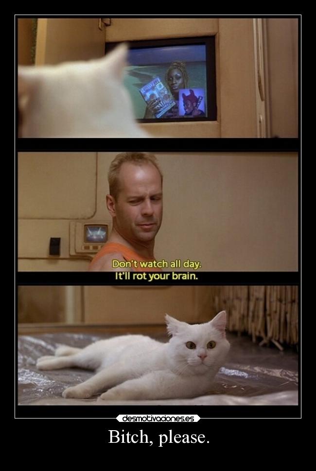 Bitch, please. - 