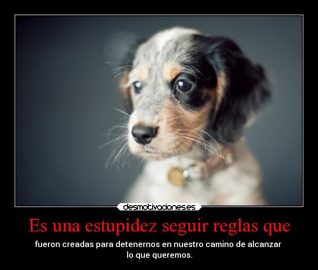 Es una estupidez seguir reglas que -