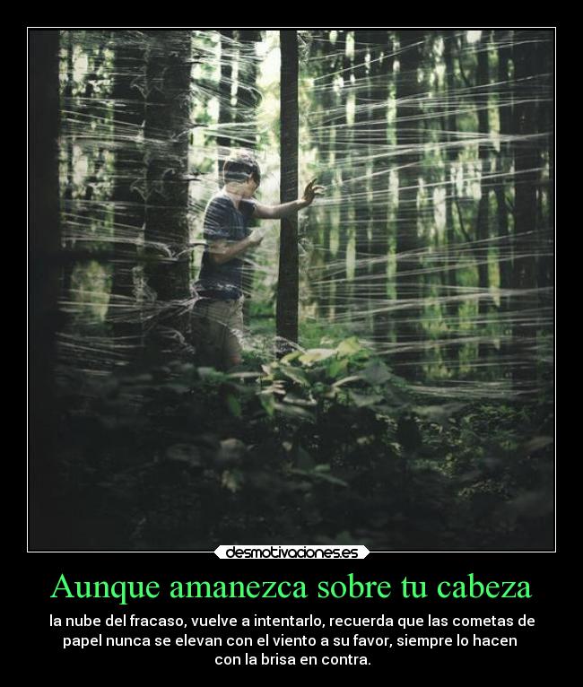 Aunque amanezca sobre tu cabeza - la nube del fracaso, vuelve a intentarlo, recuerda que las cometas de
papel nunca se elevan con el viento a su favor, siempre lo hacen
con la brisa en contra.