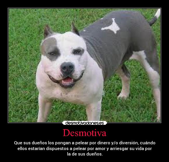 Desmotiva - 