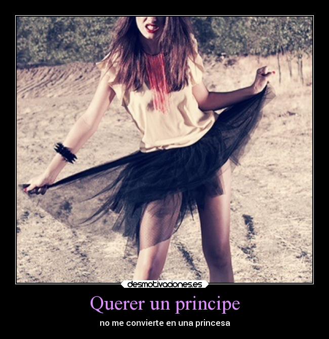 Querer un principe - no me convierte en una princesa