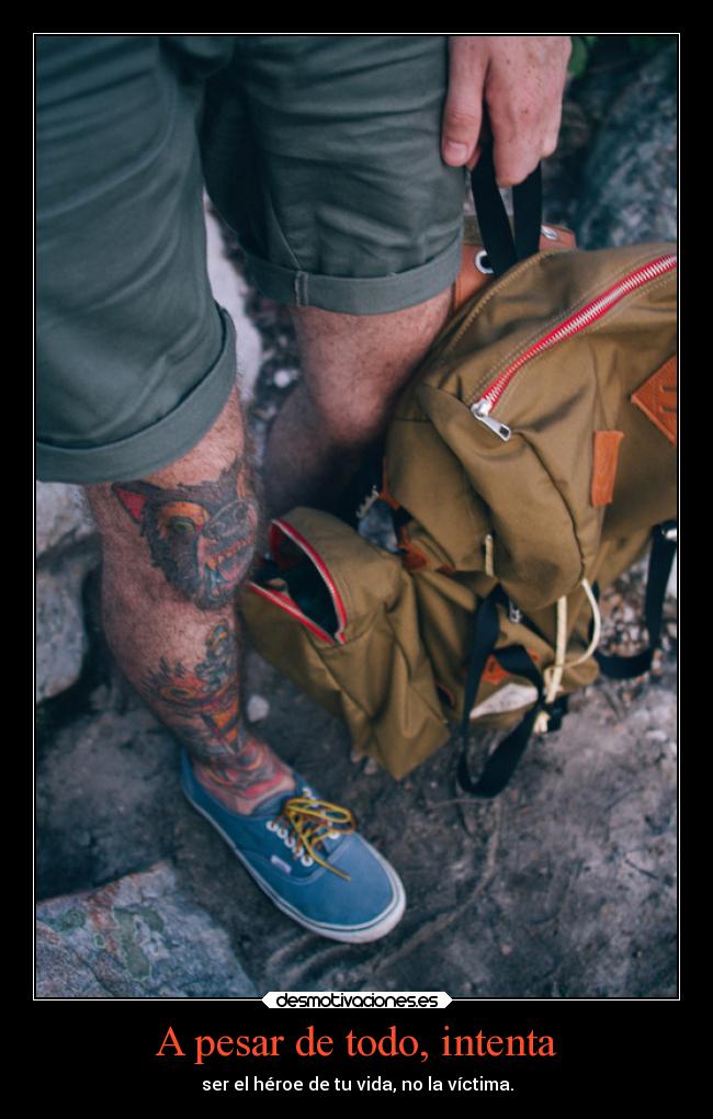 A pesar de todo, intenta - 