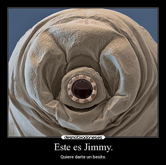 Este es Jimmy. - Quiere darte un besito.