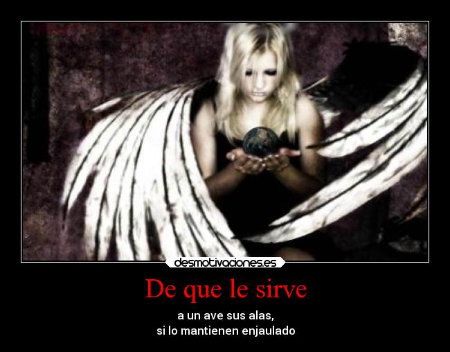 De que le sirve - a un ave sus alas,
si lo mantienen enjaulado