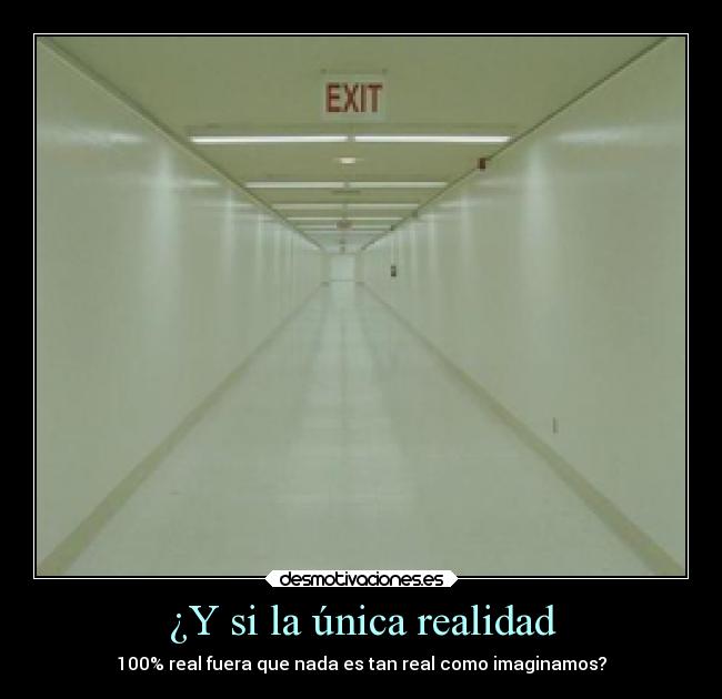 ¿Y si la única realidad - 