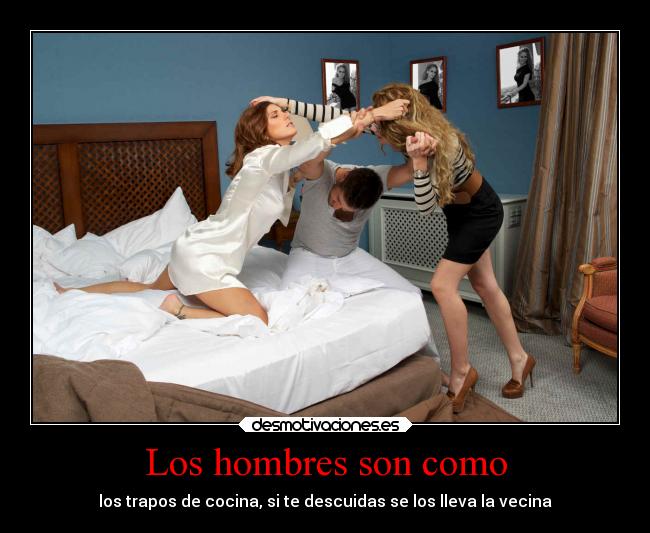 Los hombres son como - los trapos de cocina, si te descuidas se los lleva la vecina