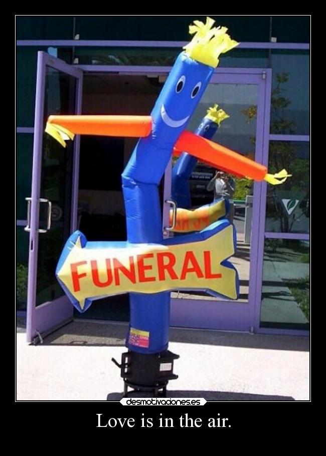 Love is in the air. - 