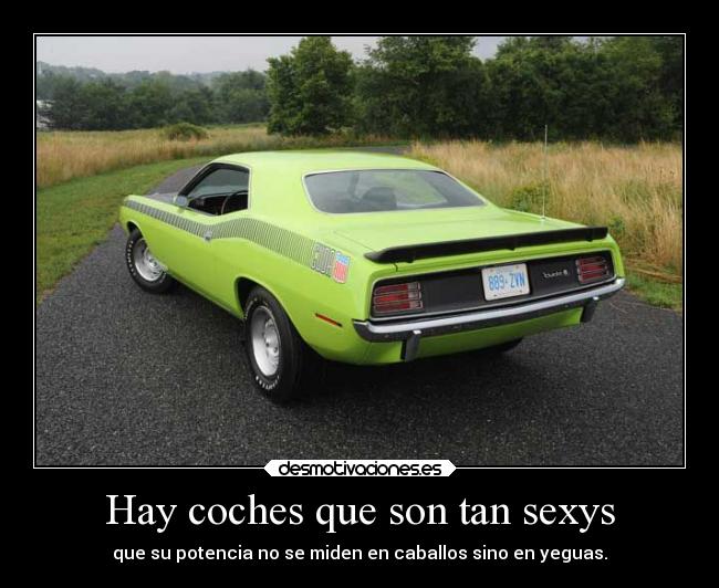 Hay coches que son tan sexys - que su potencia no se miden en caballos sino en yeguas.