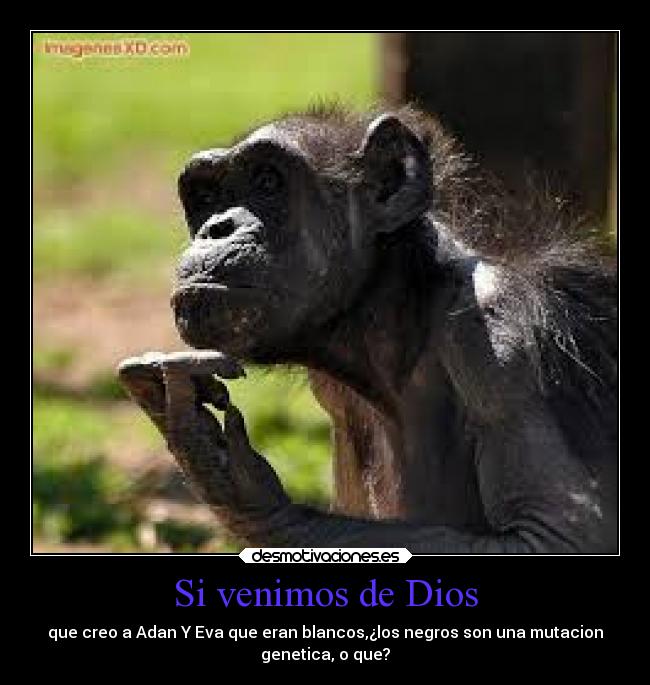 Si venimos de Dios - 