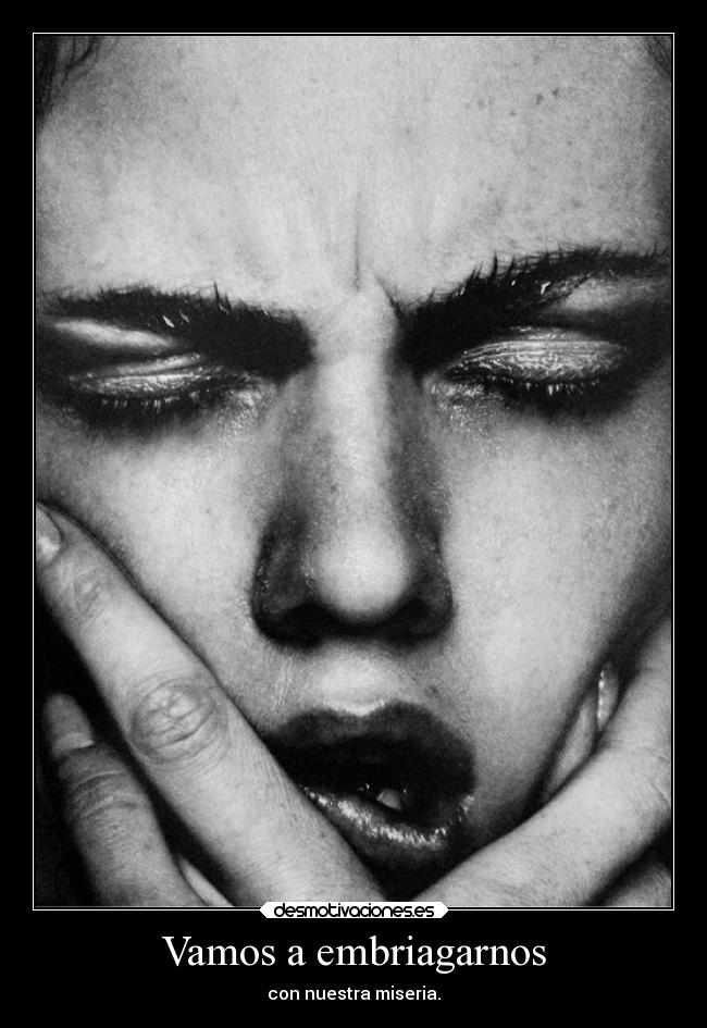 Vamos a embriagarnos - 