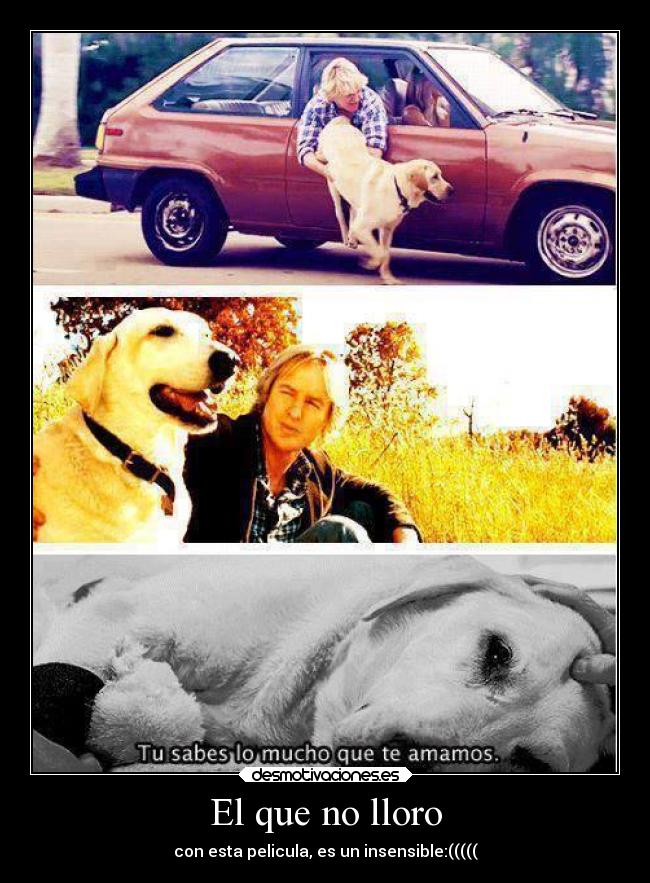 El que no lloro -