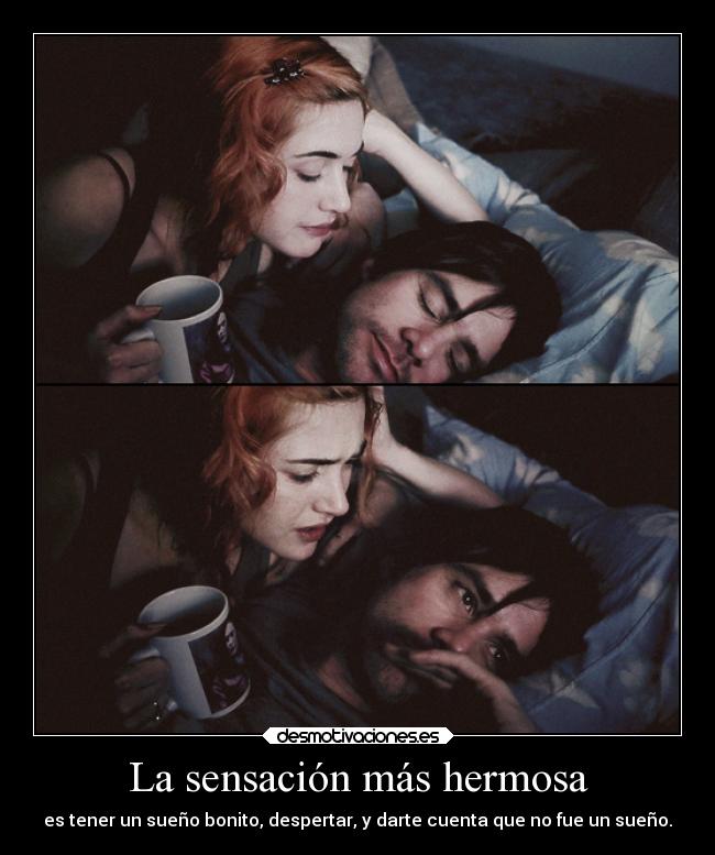 carteles dormir gatos amor sueno sonar sentir perros desmotivaciones