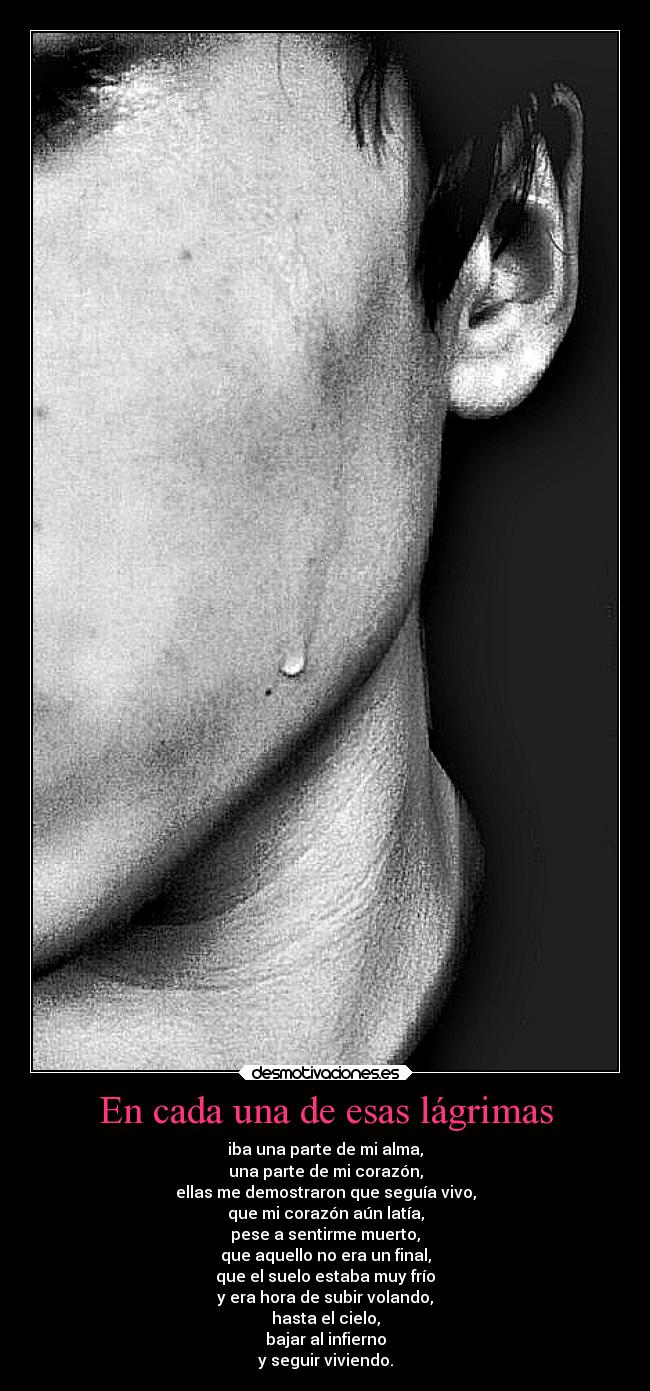 carteles esperanza alma vida godricvampire666 unicorniosrosasyazules mortals desmoc3 lagrimas desmotivaciones