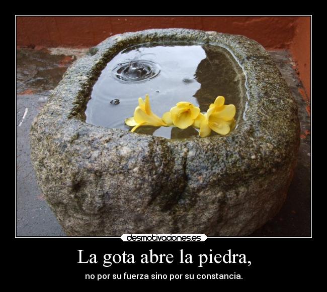 La gota abre la piedra, - no por su fuerza sino por su constancia.