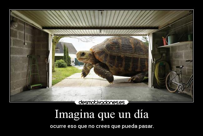 carteles esperanza desmotivaciones