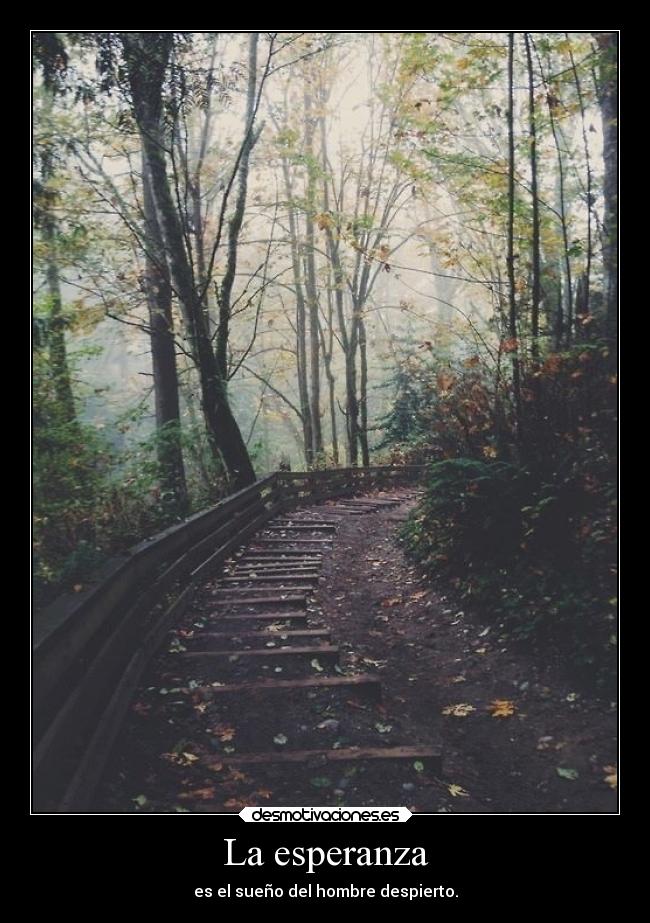 La esperanza - es el sueño del hombre despierto.