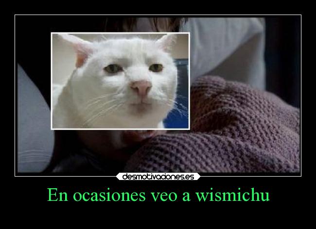 En ocasiones veo a wismichu - 