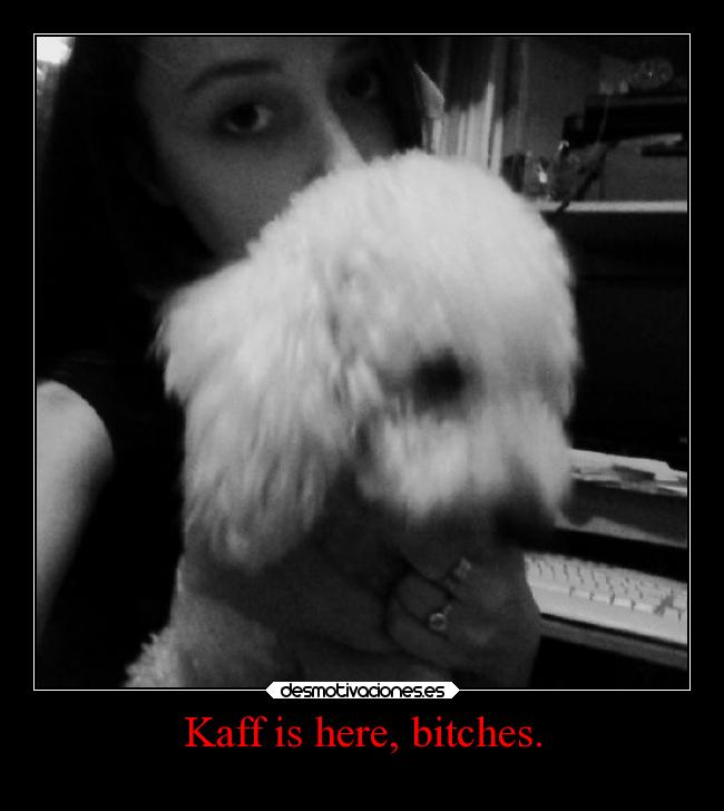 carteles fail krndizzzle kaff theshinyshafow mypukerainbows quemierdaestoy desmotivaciones