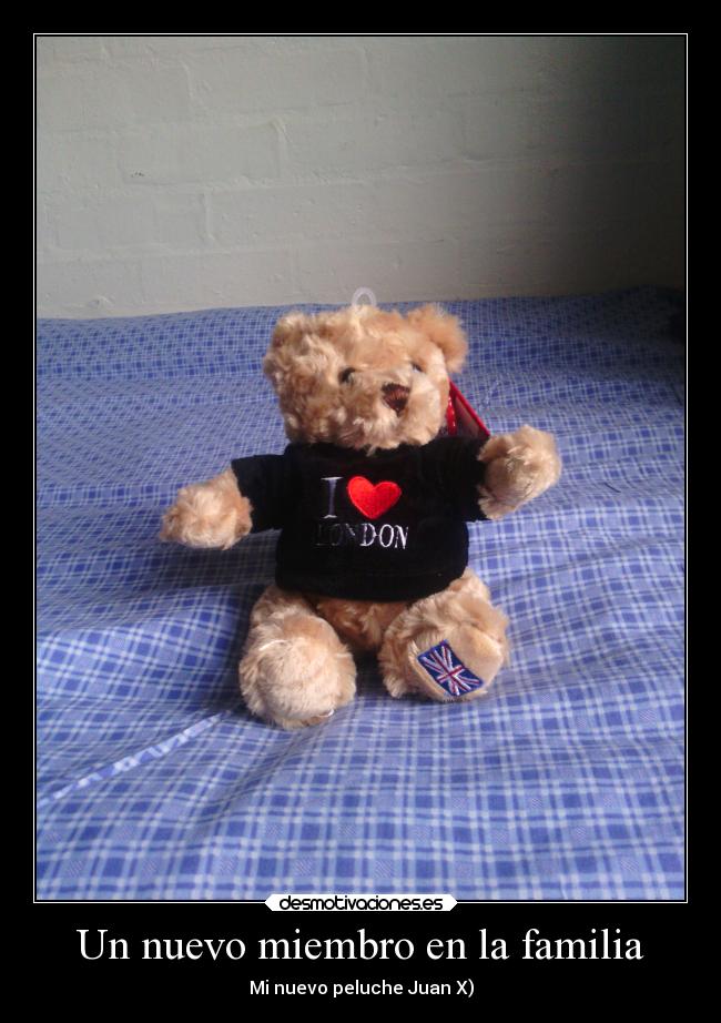 carteles familia amor desmotivaciones