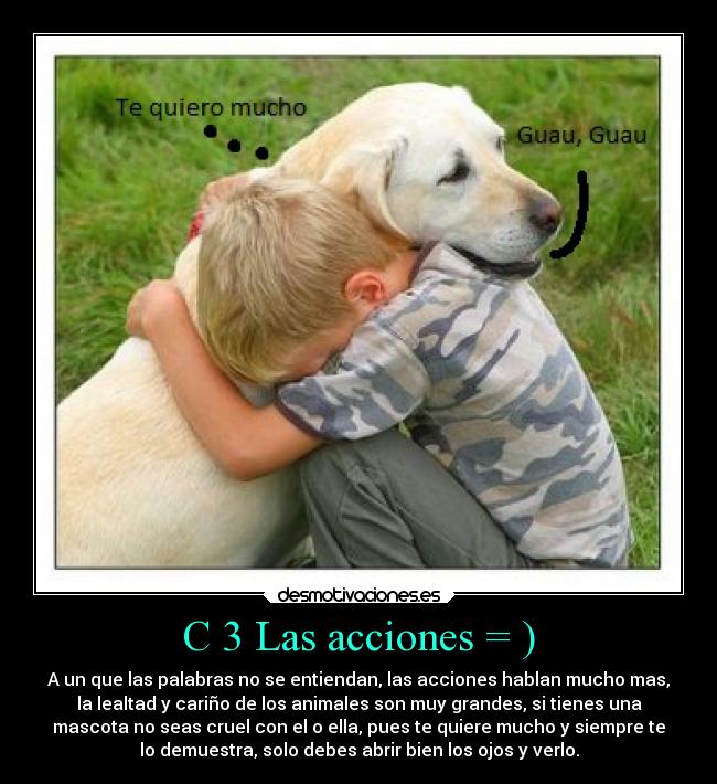 C 3 Las acciones = ) - A un que las palabras no se entiendan, las acciones hablan mucho mas,
la lealtad y cariño de los animales son muy grandes, si tienes una
mascota no seas cruel con el o ella, pues te quiere mucho y siempre te
lo demuestra, solo debes abrir bien los ojos y verlo.