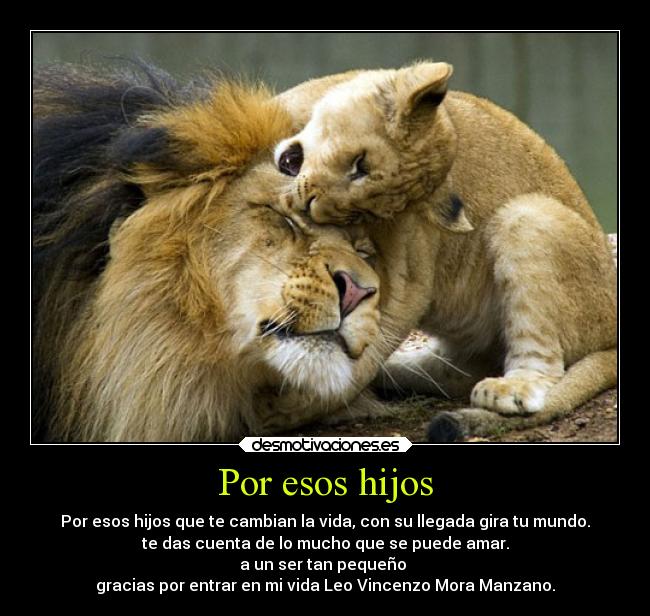 Por esos hijos - Por esos hijos que te cambian la vida, con su llegada gira tu mundo.
te das cuenta de lo mucho que se puede amar.
a un ser tan pequeño
gracias por entrar en mi vida Leo Vincenzo Mora Manzano.