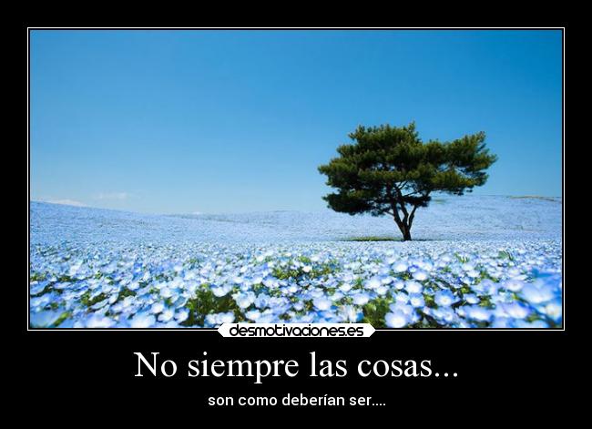 No siempre las cosas... - son como deberían ser....