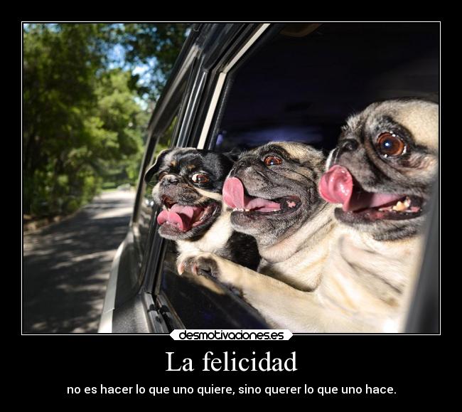 La felicidad - 