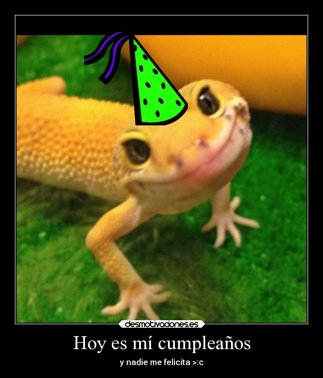 carteles felicidad vida sebastian656 madebysebas sebasestadecumple realidad foreveralone desmotivaciones