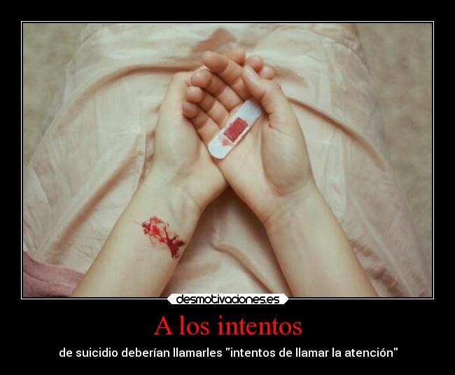 carteles fiesta heridas desmotivaciones