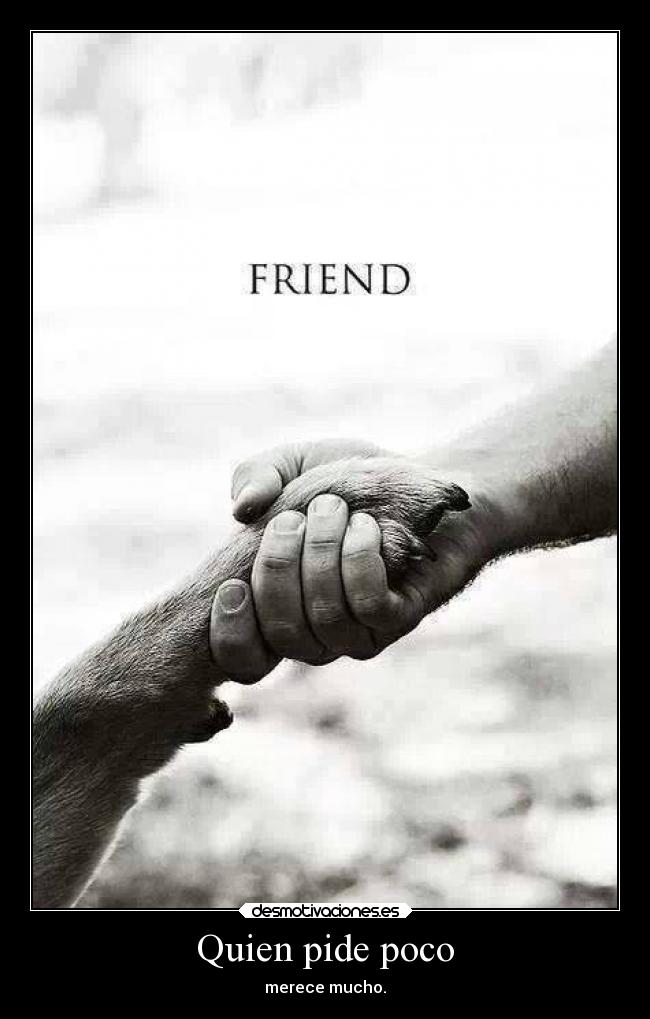 carteles frases amistad amigos desmotivaciones