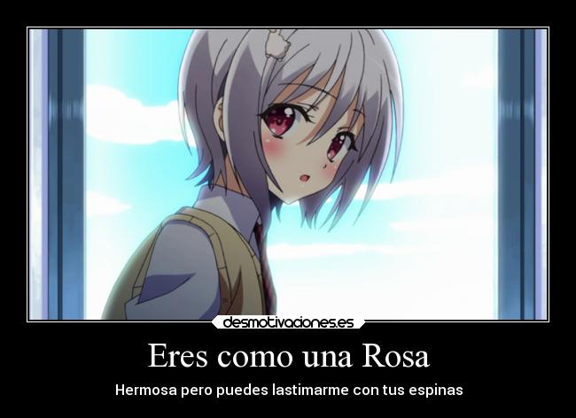 Eres como una Rosa -