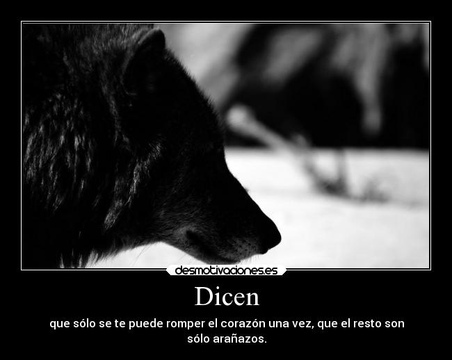 Dicen -