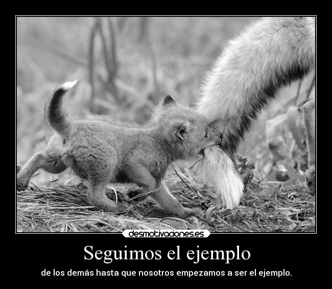 Seguimos el ejemplo - de los demás hasta que nosotros empezamos a ser el ejemplo.