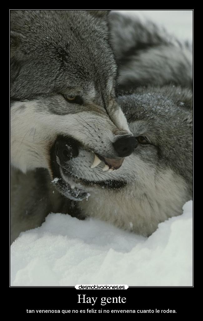 carteles frases desmotivaciones