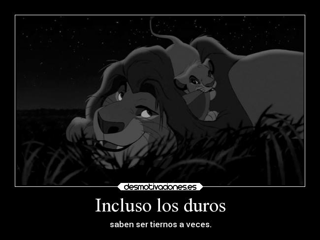 carteles frases explorador lionking simba mufasa desmotivaciones