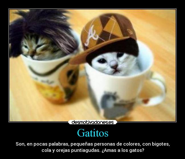 Gatitos - Son, en pocas palabras, pequeñas personas de colores, con bigotes,
cola y orejas puntiagudas. ¿Amas a los gatos?