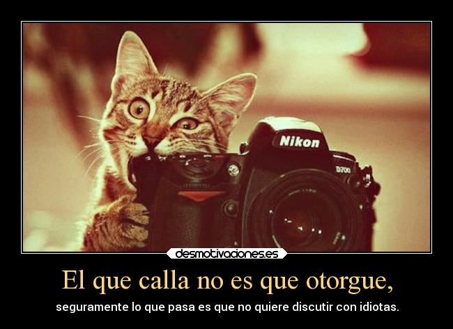 El que calla no es que otorgue, - seguramente lo que pasa es que no quiere discutir con idiotas.
