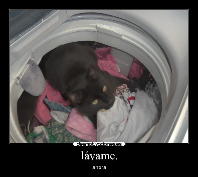 lávame. -